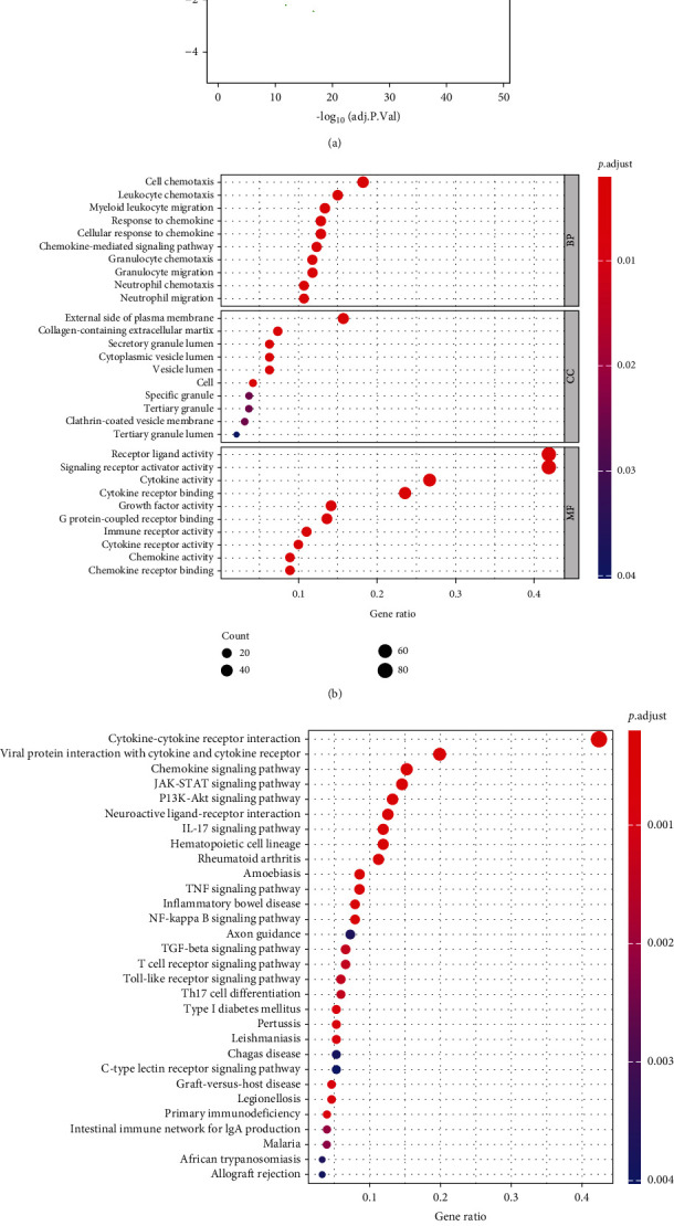 Prediction of Prognosis in Patients with Hepatocellular Carcinoma Based on Molecular Subtypes of Immune Genes.
