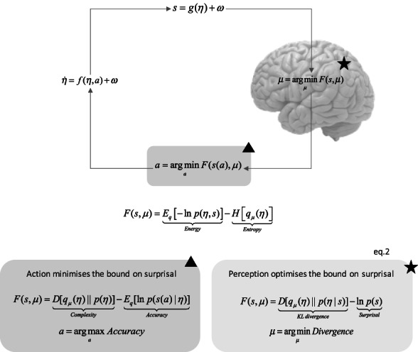 Extended active inference: Constructing predictive cognition beyond skulls.