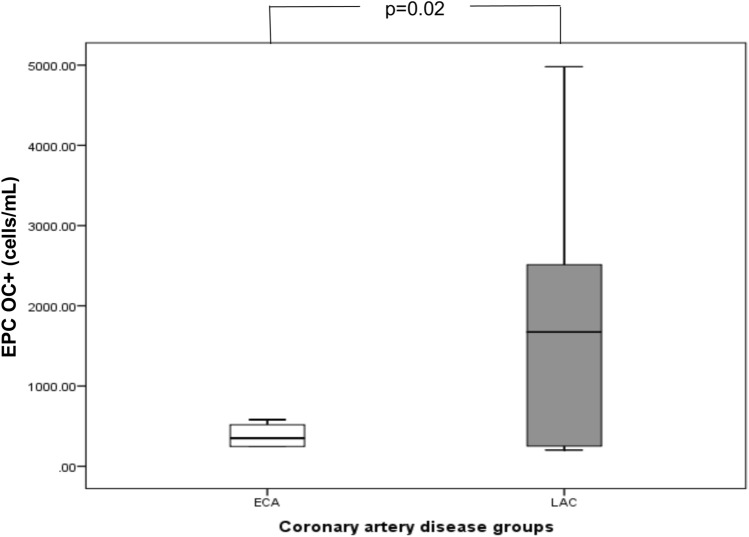 Osteocalcin-expressing endothelial progenitor cells and serum osteocalcin forms are independent biomarkers of coronary atherosclerotic disease severity in male and female patients.