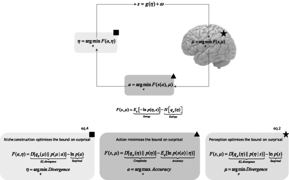 Extended active inference: Constructing predictive cognition beyond skulls.