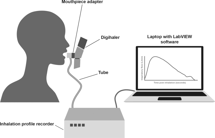 Investigating the Accuracy of the Digihaler, a New Electronic Multidose Dry-Powder Inhaler, in Measuring Inhalation Parameters.