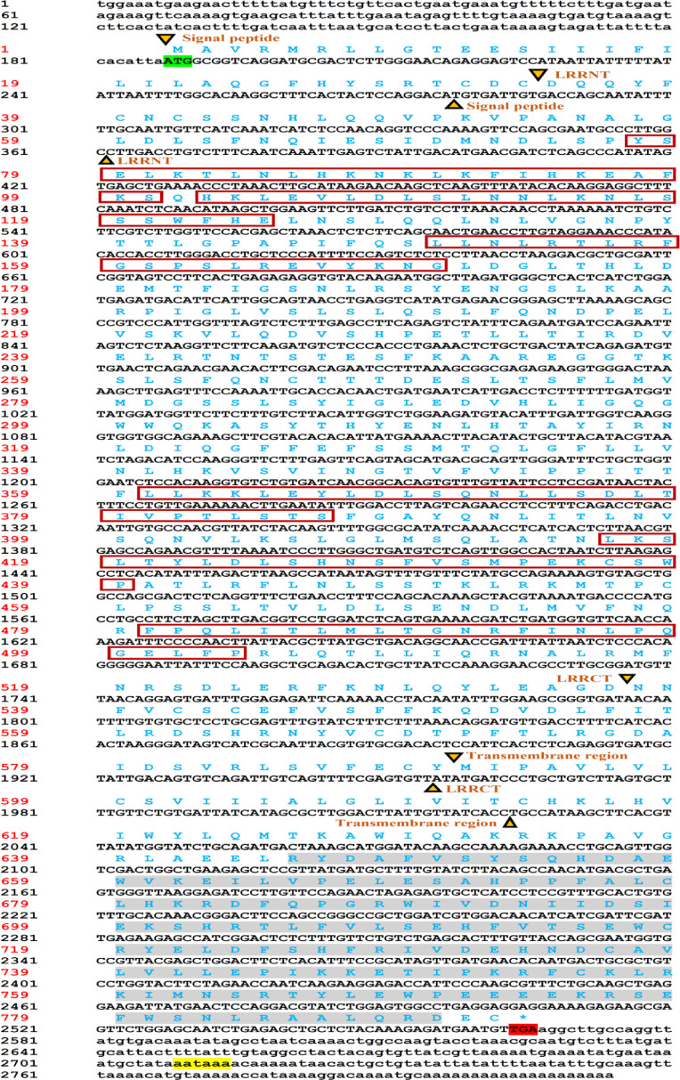 Molecular characterization of four innate immune genes in Tor putitora and their comparative transcriptional abundance during wild- and captive-bred ontogenetic developmental stages