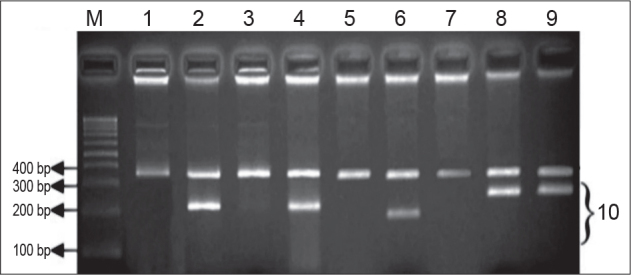 Frequencies of the <i>MEFV</i> Gene Mutations in Azerbaijan.