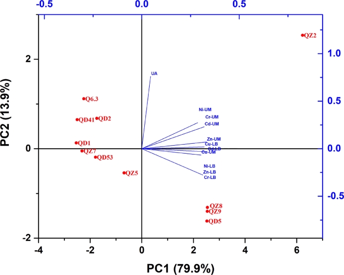 Immobilization of heavy metals by microbially induced carbonate precipitation using hydrocarbon-degrading ureolytic bacteria