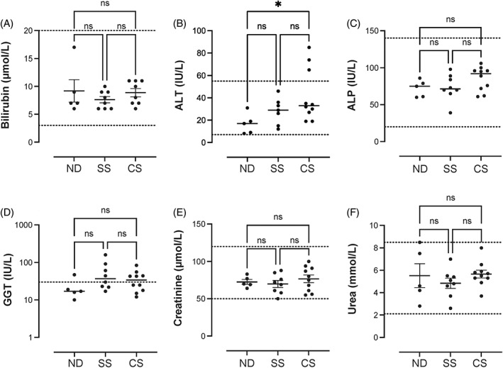 Excess iron promotes emergence of foamy macrophages that overexpress ferritin in the lungs of silicosis patients.