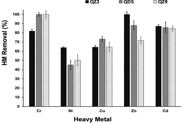 Immobilization of heavy metals by microbially induced carbonate precipitation using hydrocarbon-degrading ureolytic bacteria