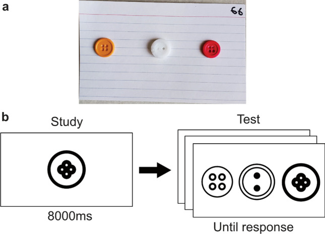 Haptic object recognition based on shape relates to visual object recognition ability.