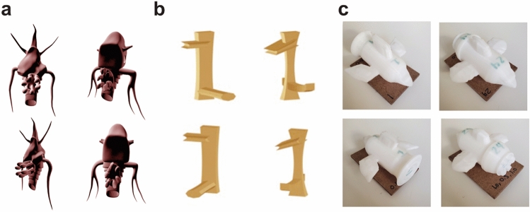 Haptic object recognition based on shape relates to visual object recognition ability.