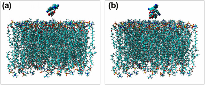 Characterization of folic acid-functionalized PLA-PEG nanomicelle to deliver Letrozole: A nanoinformatics study.