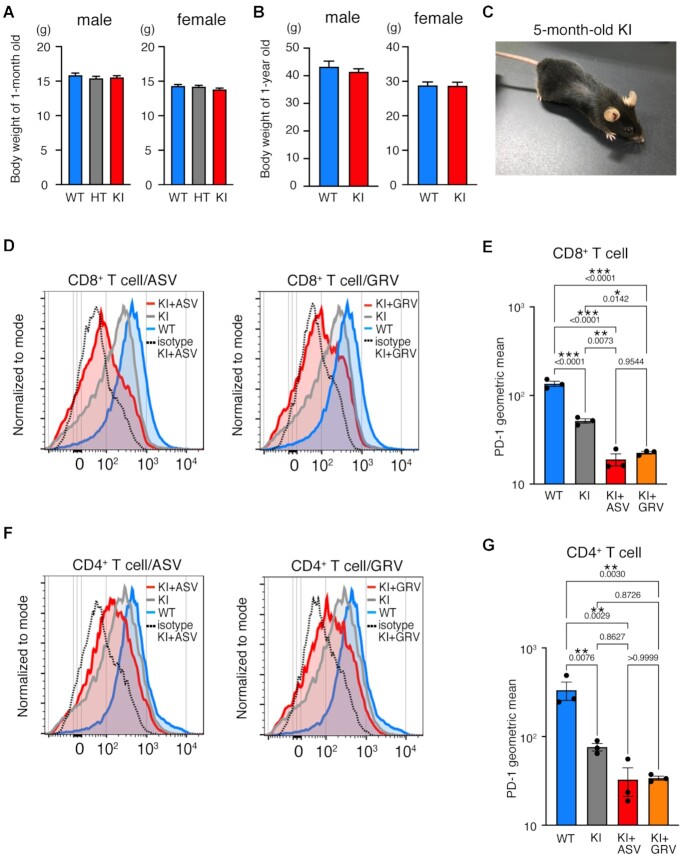 A degron system targeting endogenous PD-1 inhibits the growth of tumor cells in mice.