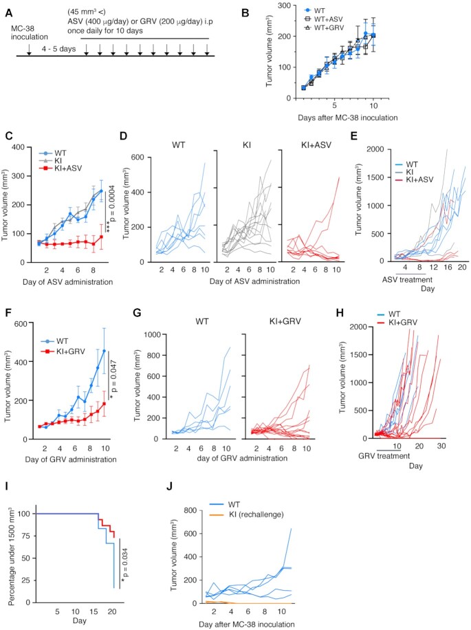 A degron system targeting endogenous PD-1 inhibits the growth of tumor cells in mice.