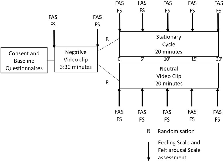 Acute Effect of Physical Exercise on Negative Affect in Borderline Personality Disorder: A Pilot Study.
