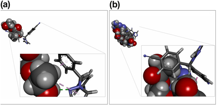 Characterization of folic acid-functionalized PLA-PEG nanomicelle to deliver Letrozole: A nanoinformatics study.