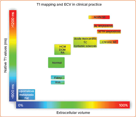 The Role of Cardiac Imaging in Heart Failure with Reduced Ejection Fraction.