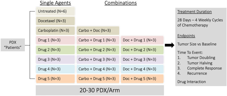 In Vivo Modeling of Human Breast Cancer Using Cell Line and Patient-Derived Xenografts.