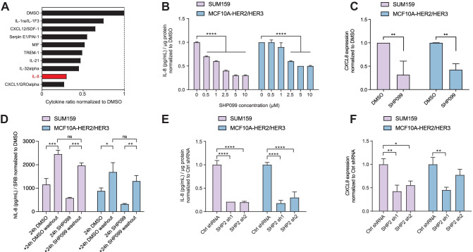 Protein Tyrosine Phosphatase SHP2 Controls Interleukin-8 Expression in Breast Cancer Cells.