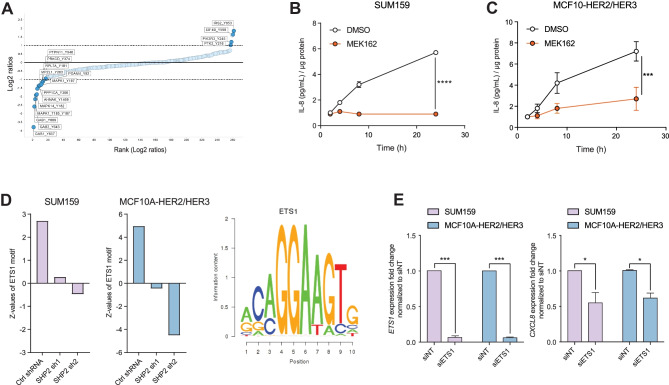Protein Tyrosine Phosphatase SHP2 Controls Interleukin-8 Expression in Breast Cancer Cells.