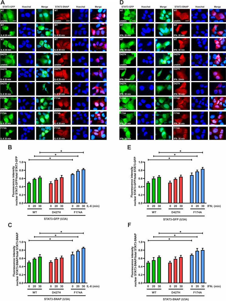 Evaluation of the putative lymphoma-associated point mutation D427H in the STAT3 transcription factor.