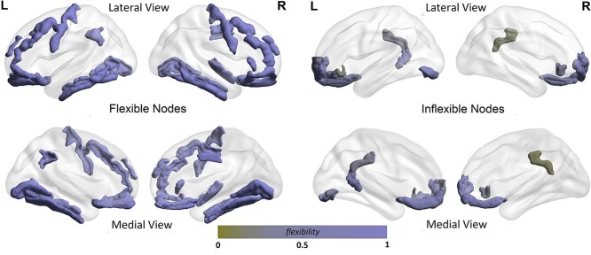 Brain morphometric similarity and flexibility.