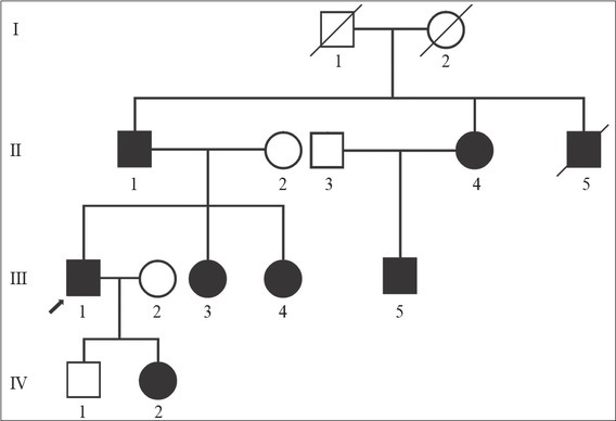 A Novel <i>Loss-of-function</i> Mutation in <i>MYBPC3</i> Causes Familial Hypertrophic Cardiomyopathy with Extreme Intrafamilial Phenotypic Heterogeneity.