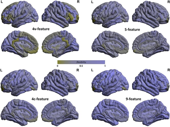 Brain morphometric similarity and flexibility.