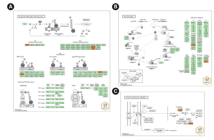 Integrated bioinformatics analysis of validated and circulating miRNAs in ovarian cancer.