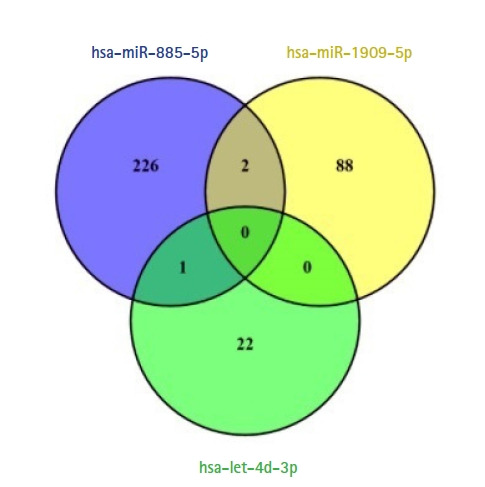 Integrated bioinformatics analysis of validated and circulating miRNAs in ovarian cancer.