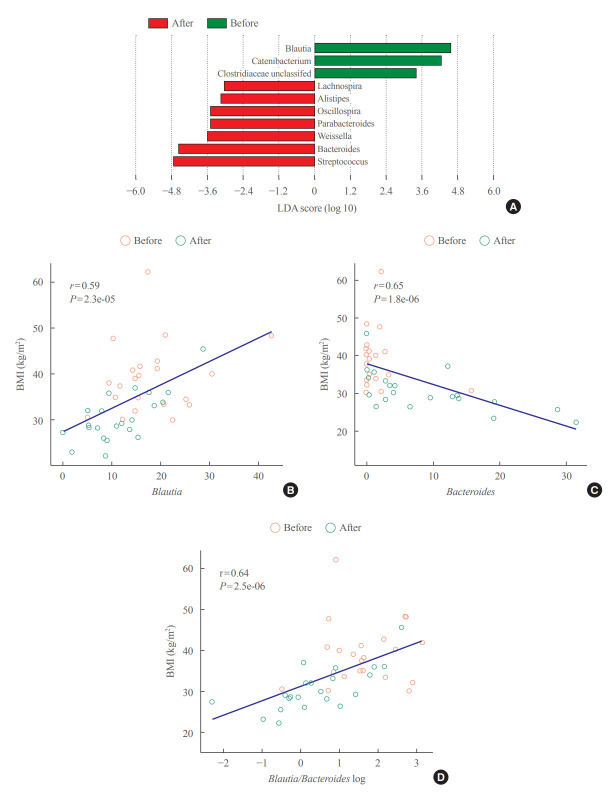 Association between the Blautia/Bacteroides Ratio and Altered Body Mass Index after Bariatric Surgery.