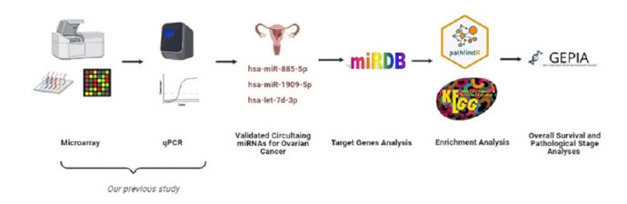 Integrated bioinformatics analysis of validated and circulating miRNAs in ovarian cancer.