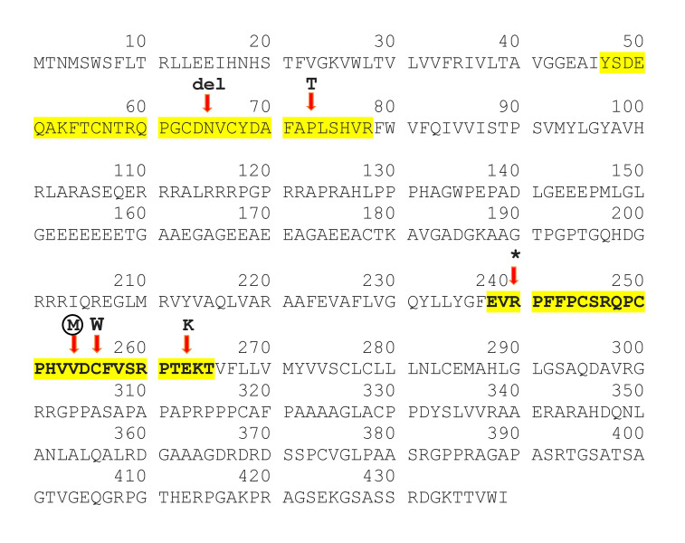 A novel mutation in GJC2 associated with hypomyelinating leukodystrophy type 2 disorder.