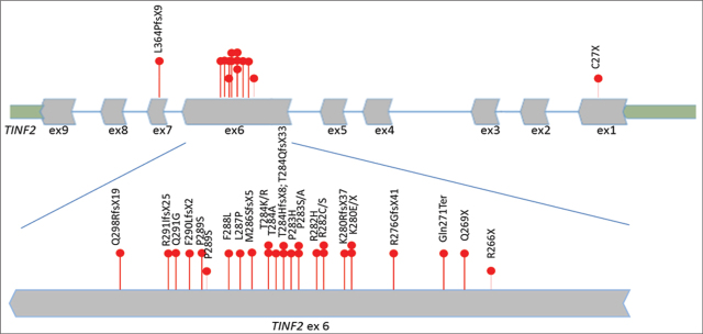 <i>de Novo TINF2</i> C.845G>A: Pathogenic Variant in Patient with Dyskeratosis Congenita.