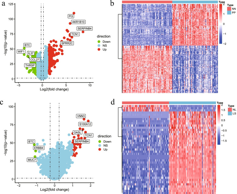 Identification of key apoptosis-related genes and immune infiltration in the pathogenesis of psoriasis.