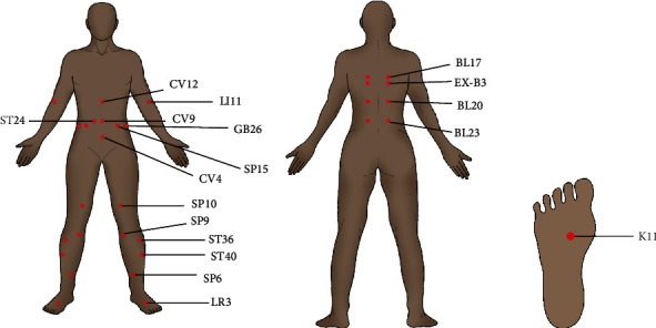 Research Progress on the Mechanism of Acupuncture Treatment for Nonalcoholic Fatty Liver Disease.
