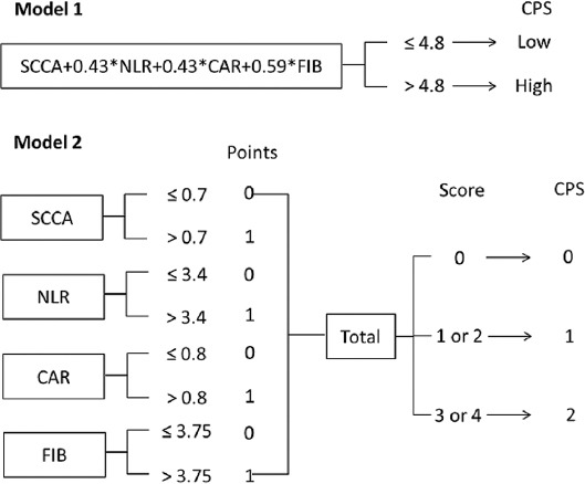 Development and validation of a novel pre-operative comprehensive prognostic score in esophageal squamous cell carcinoma.
