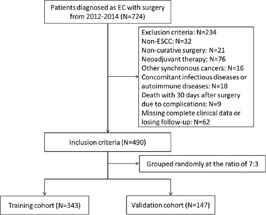 Development and validation of a novel pre-operative comprehensive prognostic score in esophageal squamous cell carcinoma.