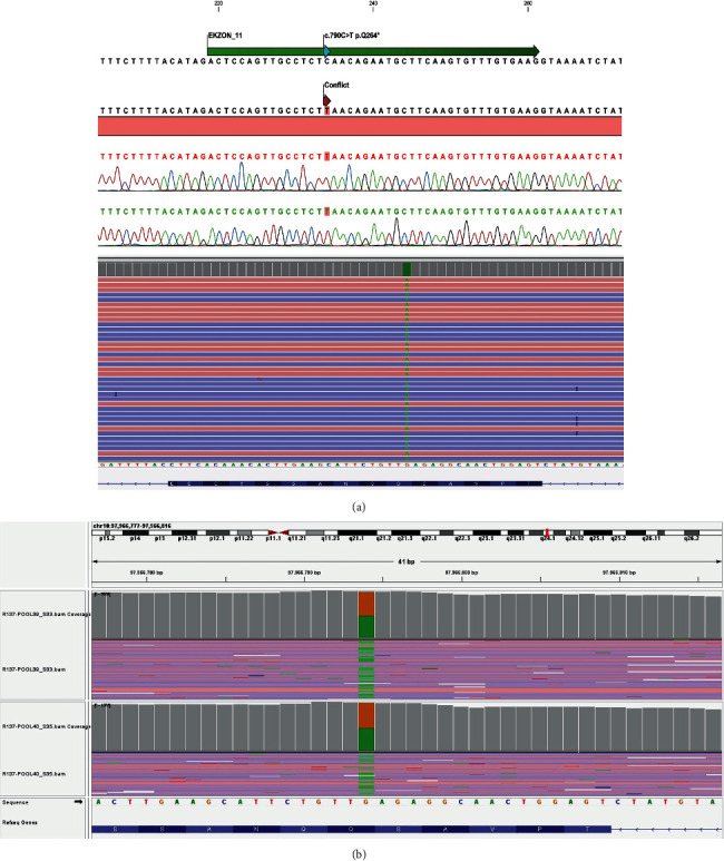 A Novel BLNK Gene Mutation in a Four-Year-Old Child Who Presented with Late Onset of Severe Infections and High IgM Levels and Diagnosed and Followed as X-Linked Agammaglobulinemia for Two Years.