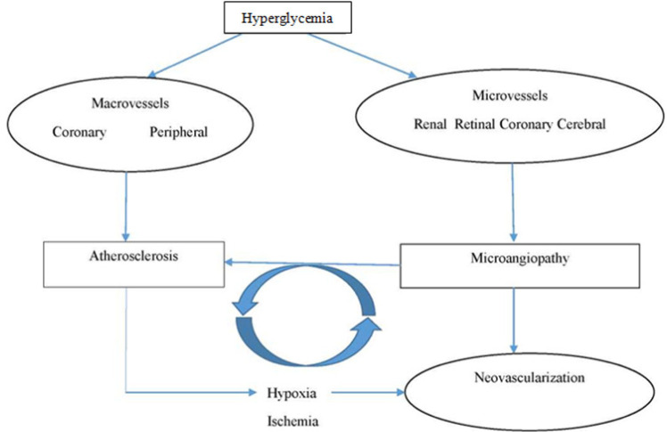 1,5-Anhydroglucitol as a Marker of Acute Hyperglycemia in Cardiovascular Events.