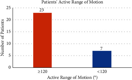 The Role of Virtual Clinics in Postoperative Total Knee Replacement Surgery Follow-Up during COVID-19 Pandemic.