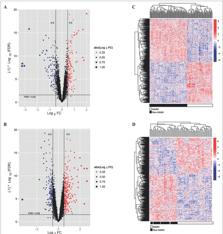 Identification of Key Target Genes and Pathway Analysis in Nonalcoholic Fatty Liver Disease Via Integrated Bioinformatics Analysis.