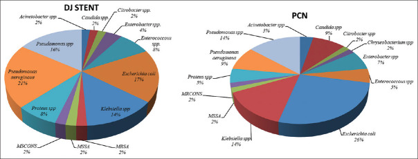 Characteristics of Bacterial Colonization and Urinary Tract Infection after Indwelling of Double-J ureteral Stent and Percutaneous Nephrostomy Tube.