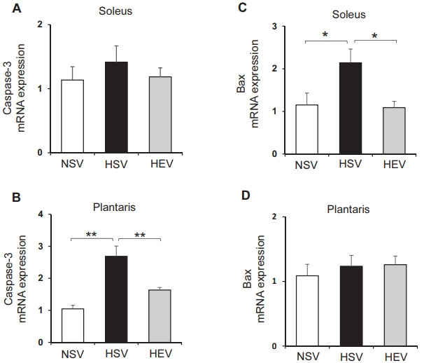 Aerobic exercise prevents apoptosis in skeletal muscles of high-fat-fed ovariectomized rats.