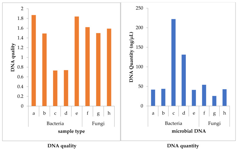 Characterization of hydrocarbon degrading microorganisms from Glycine max and Zea mays phytoremediated crude oil contaminated soil.