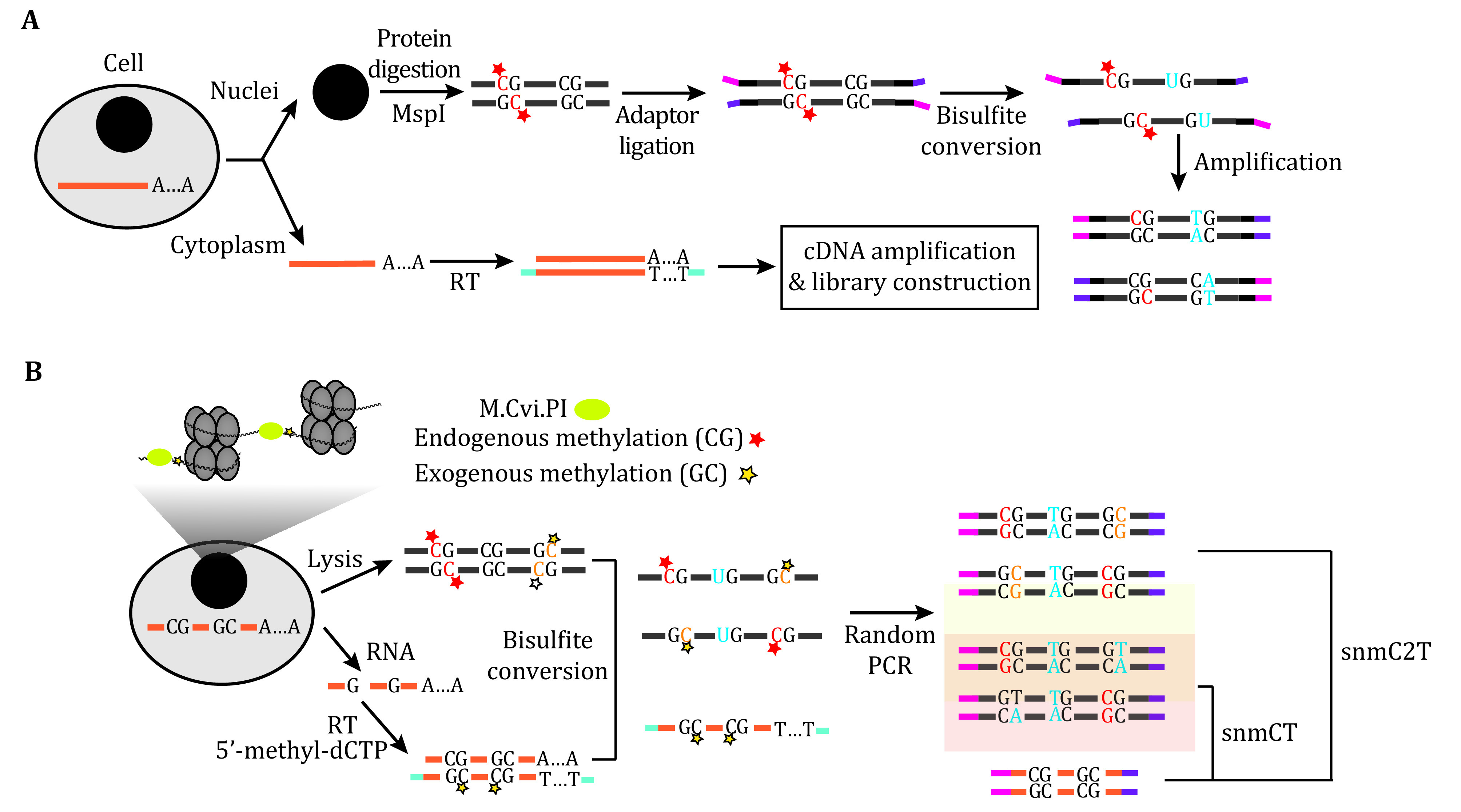 Single-cell multi-omics sequencing and its applications in studying the nervous system.