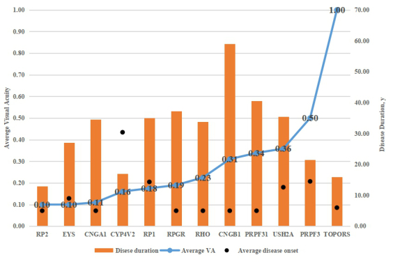 Whole-exome sequencing identified genes known to be responsible for retinitis pigmentosa in 28 Chinese families.