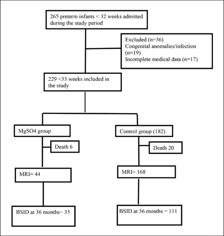 Antenatal Magnesium Sulfate for Preterm Neuroprotection: A Single-Center Experience from Kuwait Tertiary NICU.