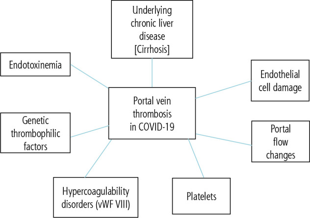 Coagulation disorders and vascular diseases of the liver in patients with COVID-19.