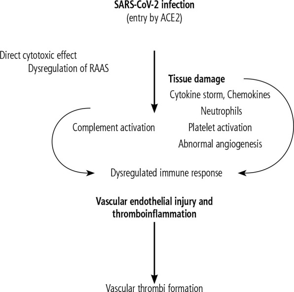 Coagulation disorders and vascular diseases of the liver in patients with COVID-19.