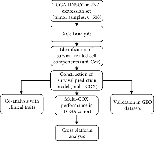 A Cell Component-Related Prognostic Signature for Head and Neck Squamous Cell Carcinoma Based on the Tumor Microenvironment.