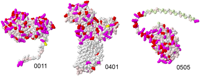 Integrative illustration of a JCVI-syn3A minimal cell.