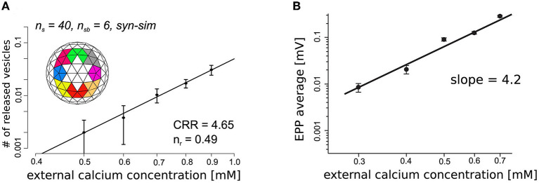 Microphysiological Modeling of the Structure and Function of Neuromuscular Transmitter Release Sites.